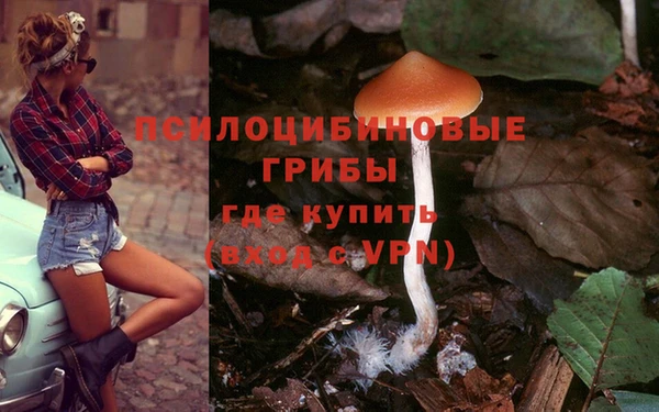 COCAINE Алексеевка