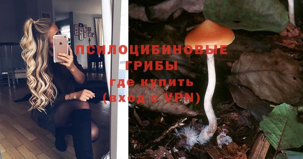 спайс Алзамай